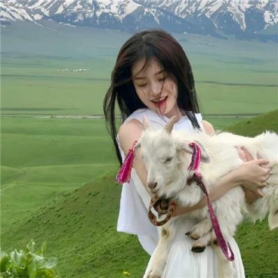 傲骨贤妻第七季